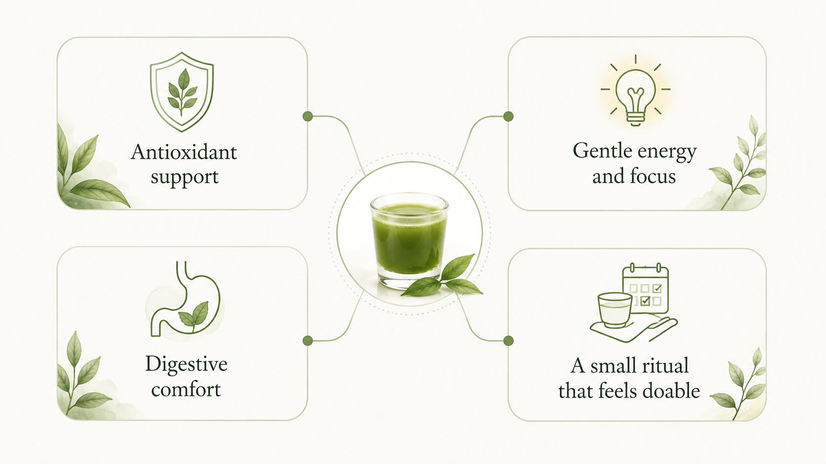 Green tea benefits: Antioxidant support, gentle energy and focus, digestive comfort, a small ritual.